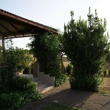 Accogliente Villa Con Piscina 卡尔塔吉罗 外观 照片