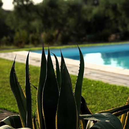 Accogliente Villa Con Piscina 卡尔塔吉罗 外观 照片