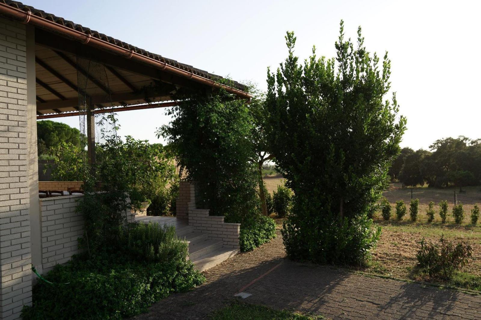 Accogliente Villa Con Piscina 卡尔塔吉罗 外观 照片