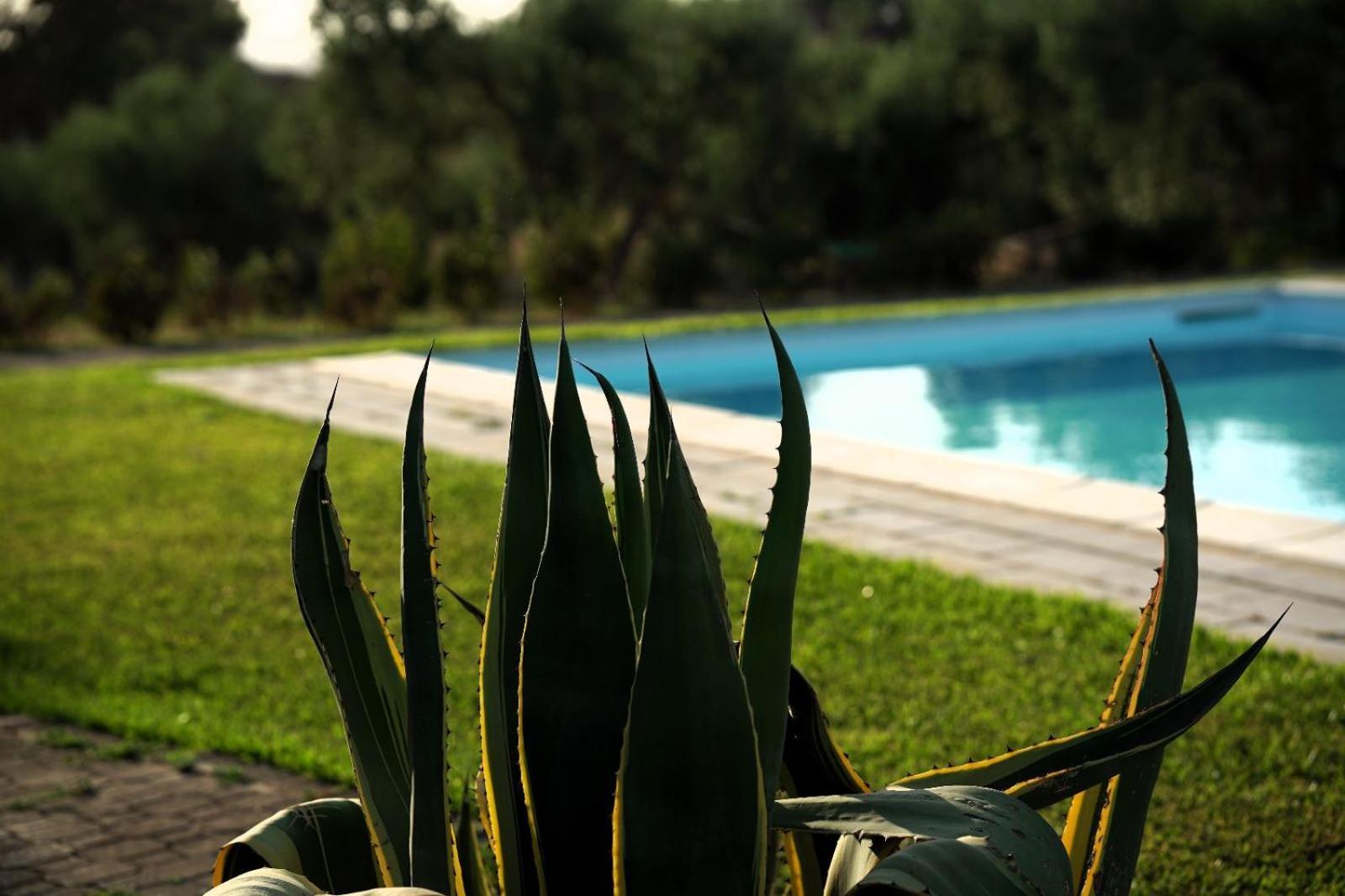Accogliente Villa Con Piscina 卡尔塔吉罗 外观 照片