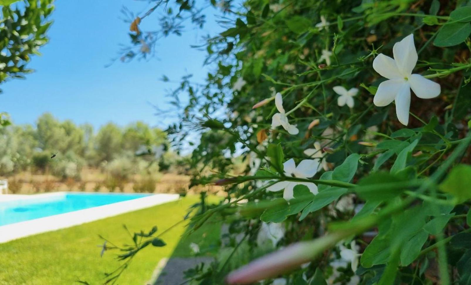 Accogliente Villa Con Piscina 卡尔塔吉罗 外观 照片