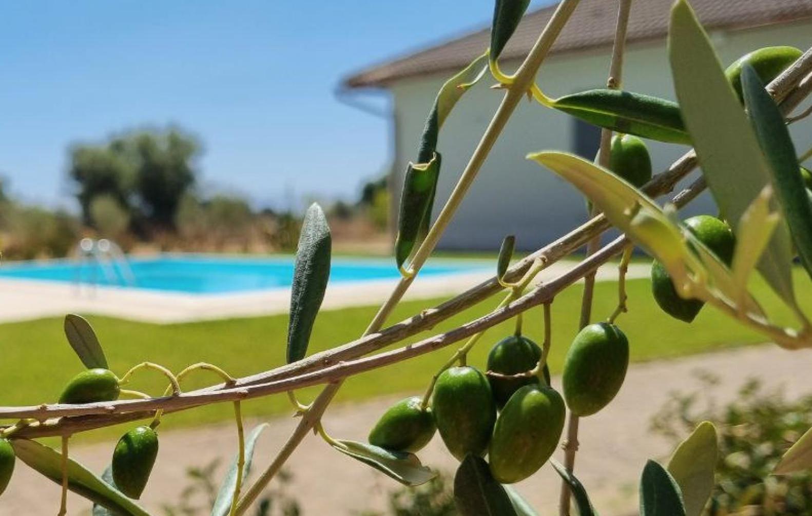 Accogliente Villa Con Piscina 卡尔塔吉罗 外观 照片