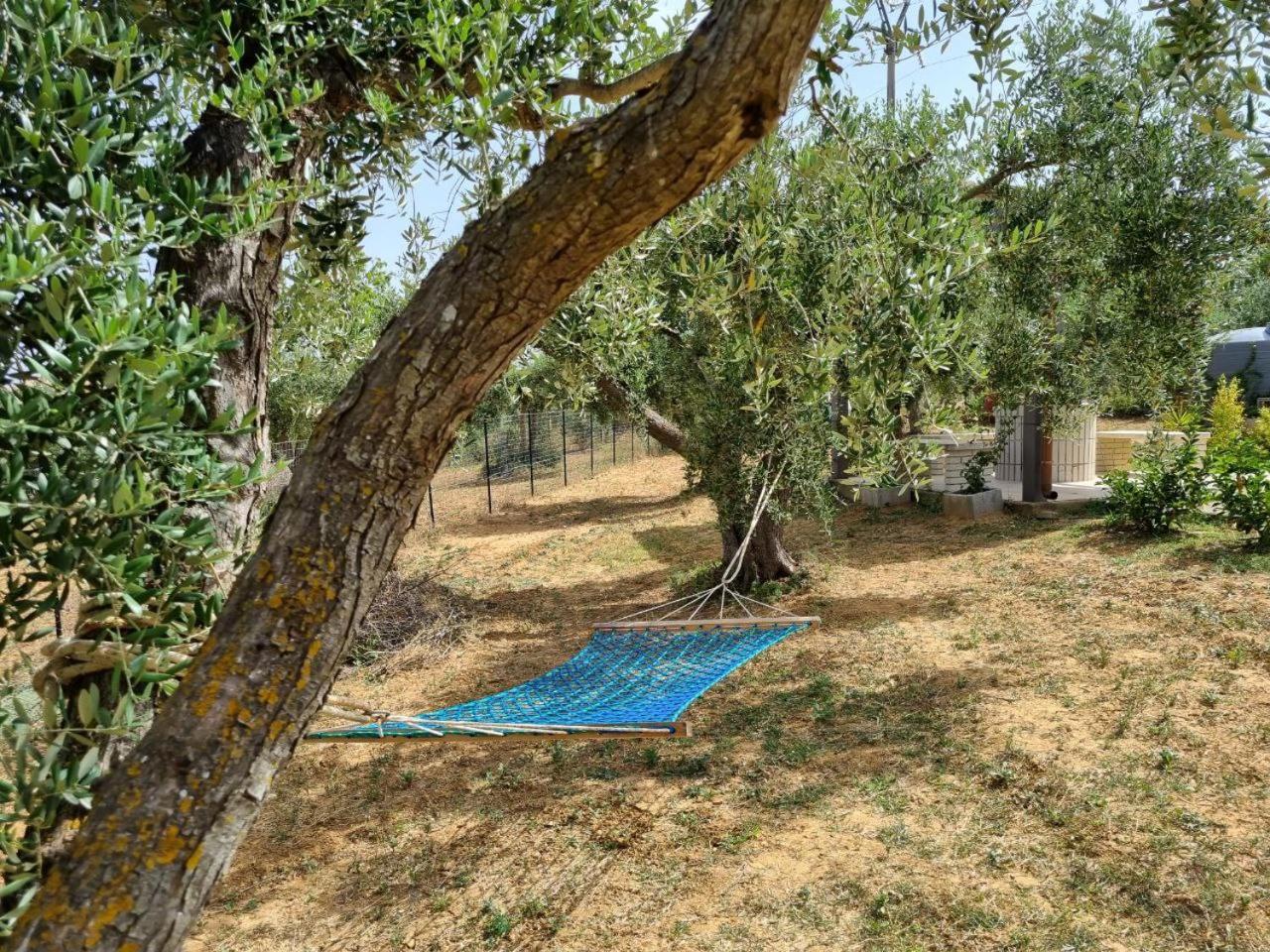 Accogliente Villa Con Piscina 卡尔塔吉罗 外观 照片