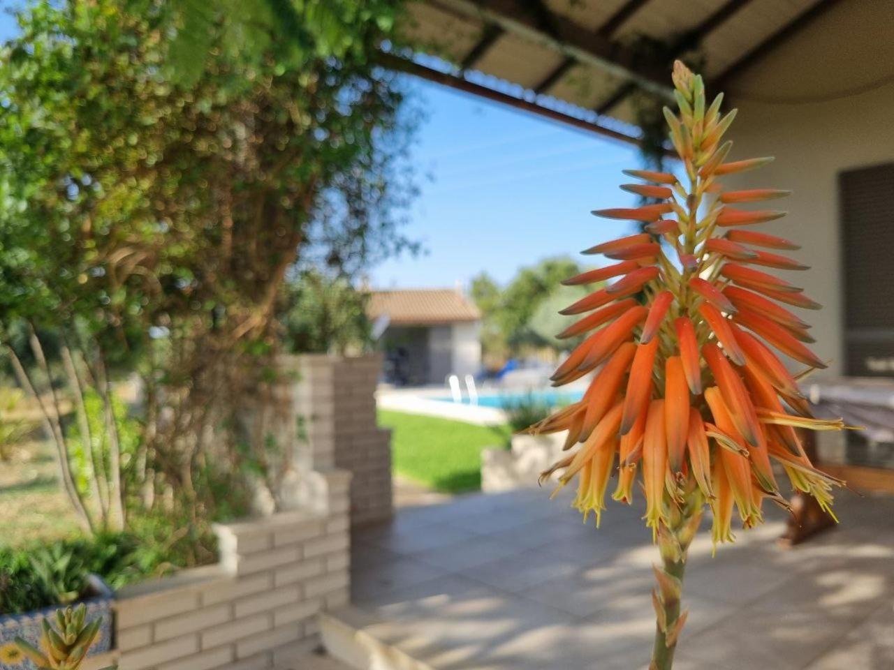 Accogliente Villa Con Piscina 卡尔塔吉罗 外观 照片