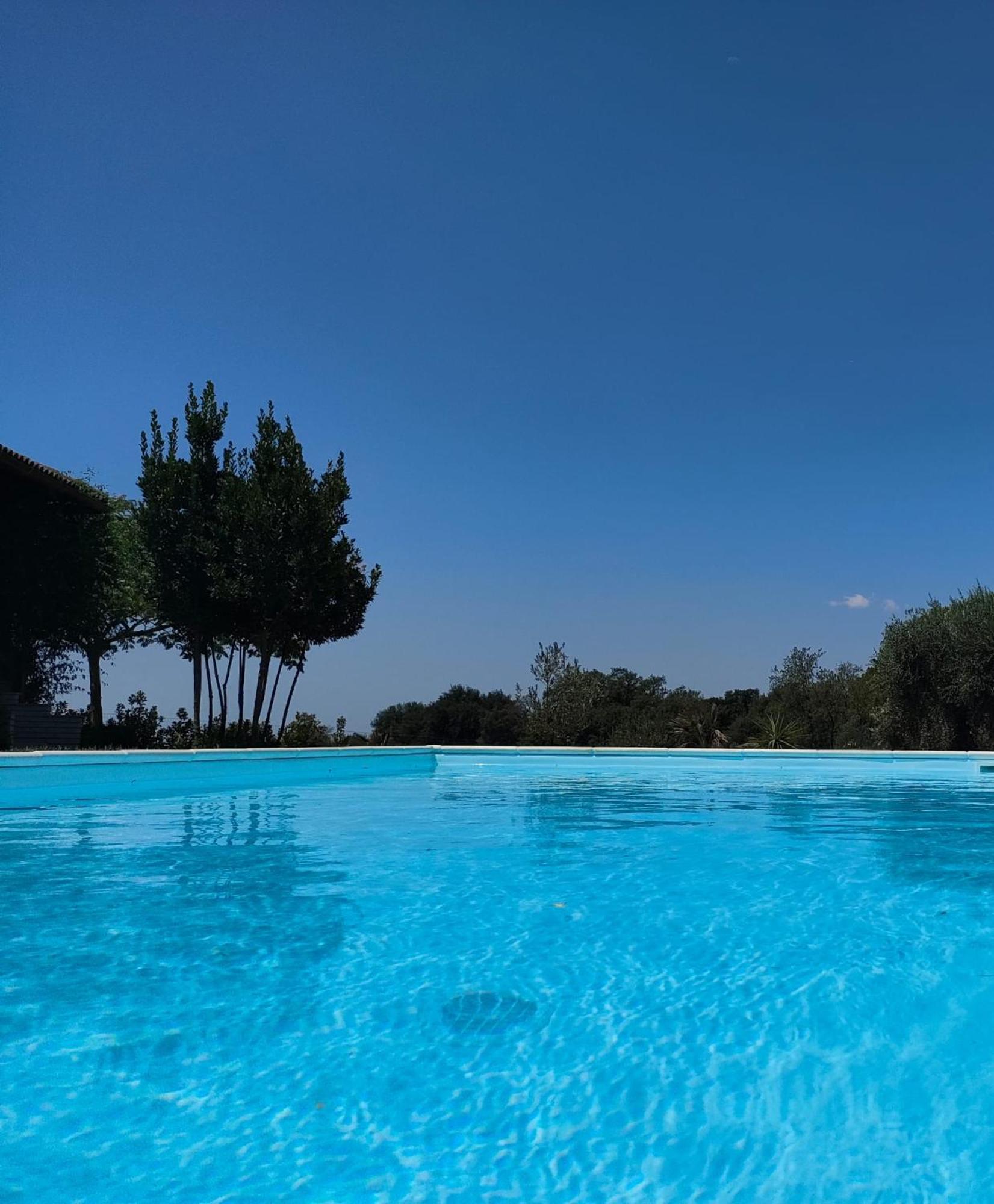 Accogliente Villa Con Piscina 卡尔塔吉罗 外观 照片